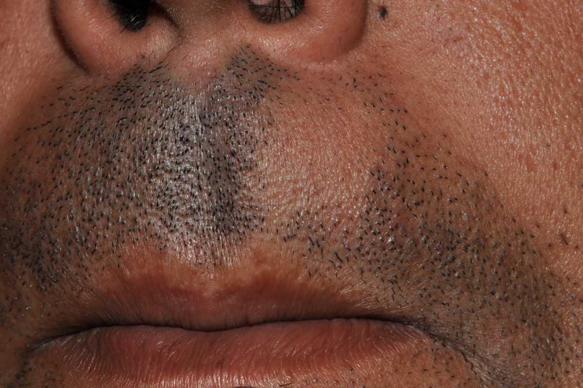 21755046-31021329