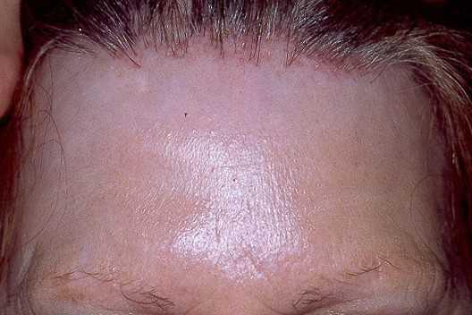 21755046-31646391